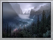 Kalifornia, Drzewa, Park Narodowy Yosemite, Stany Zjednoczone, Mgła, Góry