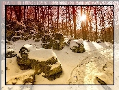 Kamienie, Snieg, Drzewa, Słońce