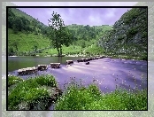Kamienie, Góry, Rzeka, Drzewo, Trawa