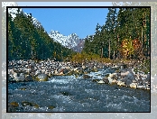 Rzeka Baksan, Kabardo-Bałkaria, Rosja, Las, Góry, Kaukaz, Kamienie