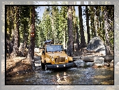 Kamienie, Jeep, Wrangler, Las, Bagna