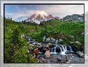 Park Narodowy Mount Rainier, Rzeka, Drzewa, Stany Zjednoczone, Trawa, Kamienie, Góry, Waszyngton