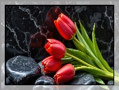 Tulipany, Kamienie, Tło, Czerwone, Marmurowe
