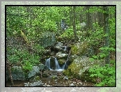 Wodospad, Kamienie, Las