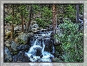 Wodospad, Kamienie, Las