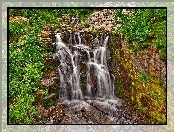Wodospad, Kamienie, Las