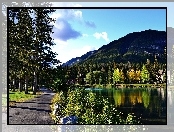 Kanada, Jezioro, Góry, Drzewa, Banff