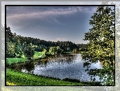 Jezioro, Kąpielisko, Las