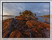 Drzewa, Karelia, Jezioro Ładoga, Wschód słońca, Rosja, Skały