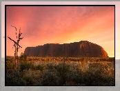 Australia, Park Narodowy Uluru Kata Tjuta, Góra, Trawa, Wschód słońca, Skała, Ayers Rock, Uluru