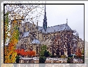 Katedra, Francja, Notre Dame, Paryż