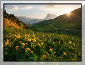 Drzewa, Kwiaty, Kaukaz, Ruiny, Rosja, Promienie słońca, Republika Inguszetii, Góry, Erzi