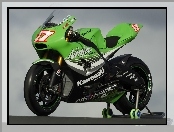 Kawasaki ZX-RR Ninja, MotoGP