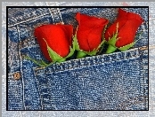 Róże, Kieszeń, Spodni