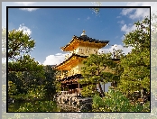 Świątynia Kinkaku-ji, Kioto, Japonia, Rokuon-ji, Złoty Pawilon, Drzewa, Staw Kyko chi