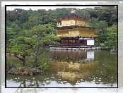 Drzewa, Złoty Pawilon, Świątynia Kinkakuji, Japonia, Staw Kyko chi, Kioto