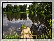 Jezioro, Kładka, Drzewa