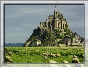 Francja, Klasztor, Łąka, Owce, Mount Saint Michel