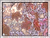 Liście, Klonu, Fractalius