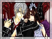 Vampire Knight, anime