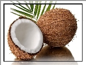 Kokos