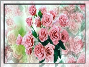 Kolorowe tło, Kwiaty, Róże, Bukiet, 2D