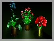 Kolorowe, Kwiaty, Grafika 3D