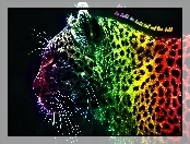 Leopard, Kolorowy, Fractalius