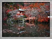 Kompleks świątynny Daigo-ji, Kioto, Mostek, Japonia, Świątynia Benten-do, Staw, Jesień, Drzewa