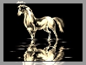 Biały, Koń, Grafika