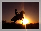 Koń, zachód, jeździec, słońce