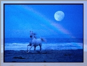 Koń, księżyc, morze, woda