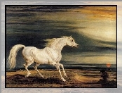 Koń, Obraz