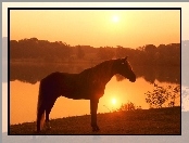 Koń, Zachód Słońca, Jezioro