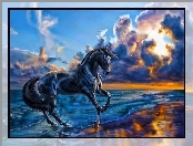 Koń, Plaża, Zachód, Słońca