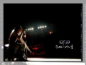 Evanescence, koncert, mikrofon