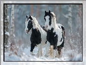 Zima, Grafika AI, Konie, American Paint Horse