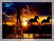 Konie, Kobieta, Zachód, Słońca