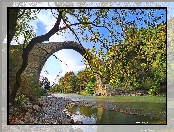 Most, Drzewa, Rzeka, Grecja, Wjosa, Kamienie, Łukowy, Konitsa