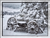 Wóz, Konny, Śnieg