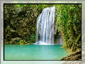 Drzewo, Prowincja Kanchanaburi, Rośliny, Wodospad, Park Narodowy Erawan, Tajlandia, Korzenie, Erawan Waterfall
