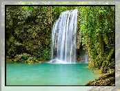 Drzewo, Prowincja Kanchanaburi, Rośliny, Wodospad, Park Narodowy Erawan, Tajlandia, Korzenie, Erawan Waterfall