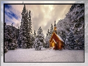 Drzewa, Zima, Las, Kaplica, Stany Zjednoczone, Świerki, Stan Kalifornia, Kościółek, Park Narodowy Yosemite