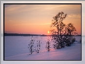 Zachód słońca, Rzeka Wołga, Zima, Rosja, Drzewa, Miejscowość Kostroma