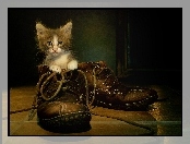 Kot, Buty