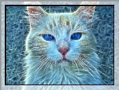 Kot, Fractalius