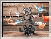 Kot, Origami, Kotek, Ptaszki
