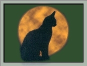 Halloween, kotek , księżyc