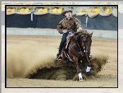 Rodeo, Kowboj, Koń