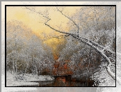 Krajobraz, Fractalius, Zima, Las